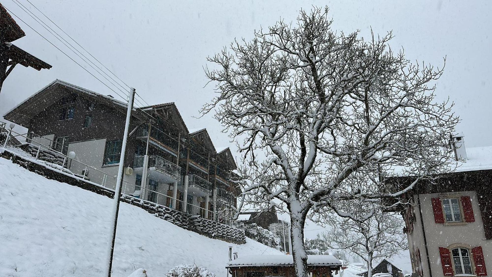 Lake View Residence Niederried bei Interlaken Екстериор снимка