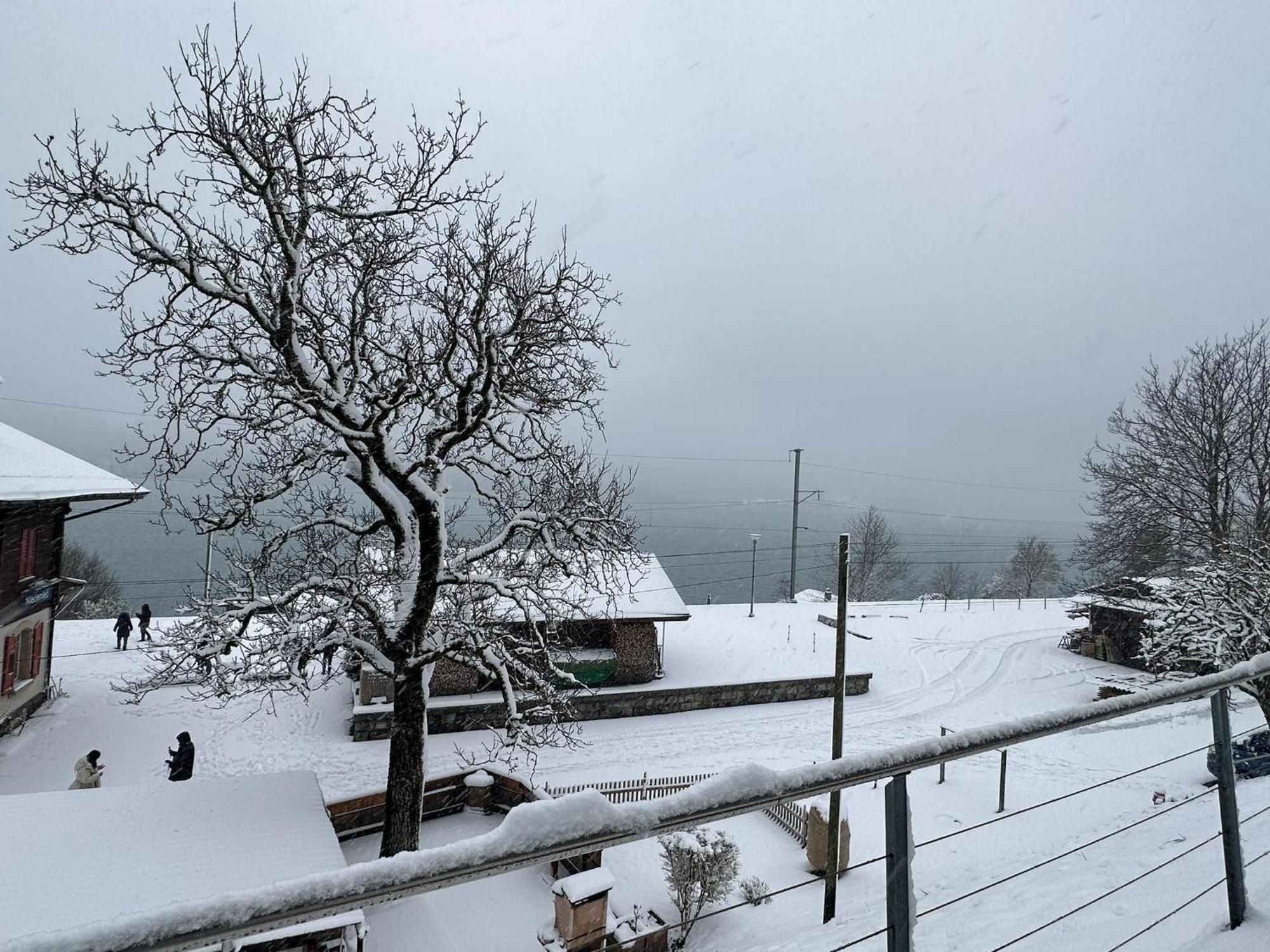 Lake View Residence Niederried bei Interlaken Екстериор снимка