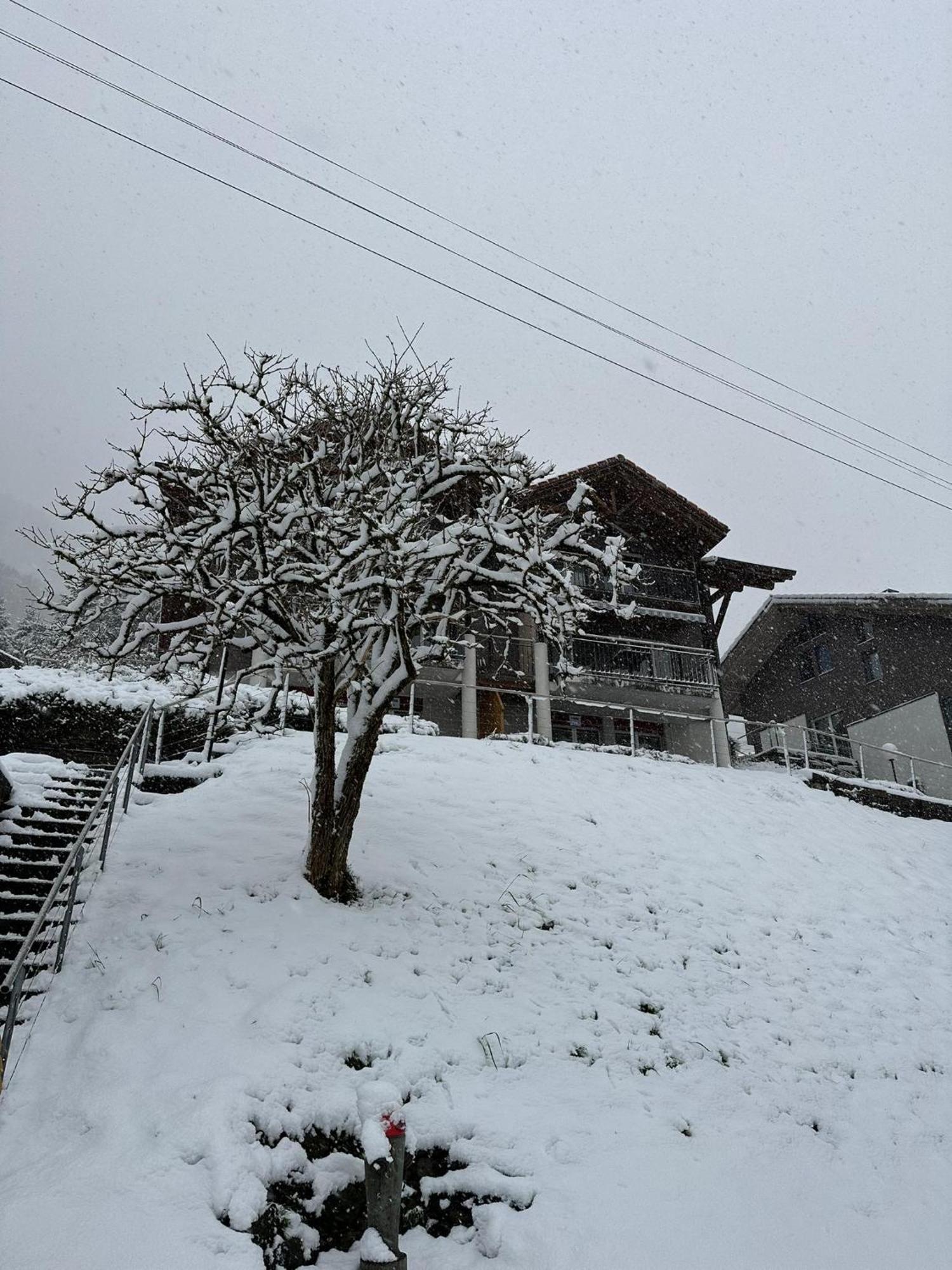 Lake View Residence Niederried bei Interlaken Екстериор снимка